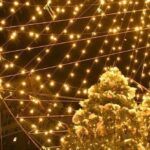 Tour navideños Nueva York