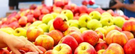 Los mejores mercados callejeros de Nueva York