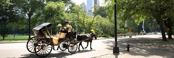 Paseo A Caballo Central Park