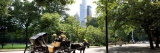 Paseo en coche de caballos por Central Park y reportaje fotográfico