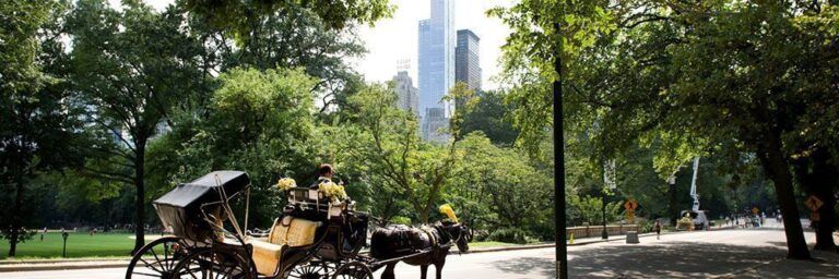 Paseo en coche de caballos por Central Park y reportaje fotográfico